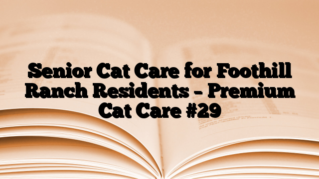Senior Cat Care for Foothill Ranch Residents – Premium Cat Care