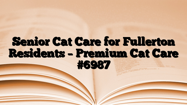 Senior Cat Care for Fullerton Residents – Premium Cat Care