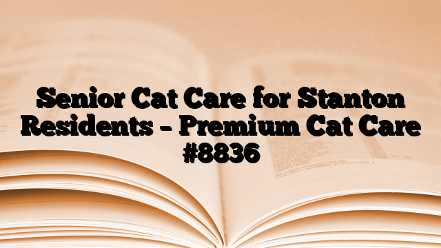 Senior Cat Care for Stanton Residents – Premium Cat Care