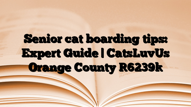 Senior cat boarding tips: Expert Guide | CatsLuvUs Orange County