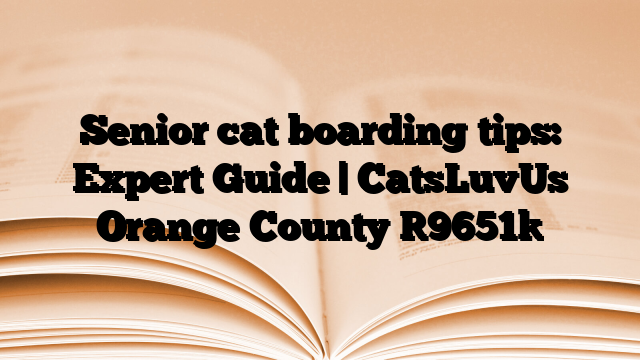 Senior cat boarding tips: Expert Guide | CatsLuvUs Orange County