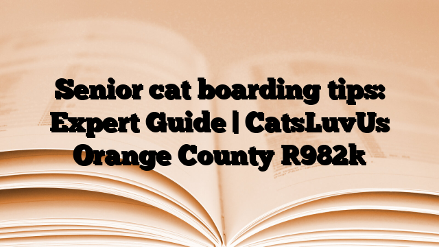 Senior cat boarding tips: Expert Guide | CatsLuvUs Orange County