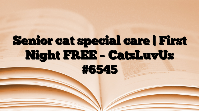 Senior cat special care | First Night FREE – CatsLuvUs