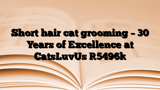 Short hair cat grooming – 30 Years of Excellence at CatsLuvUs