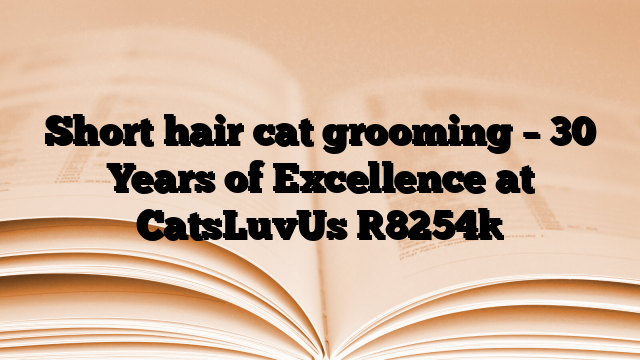 Short hair cat grooming – 30 Years of Excellence at CatsLuvUs
