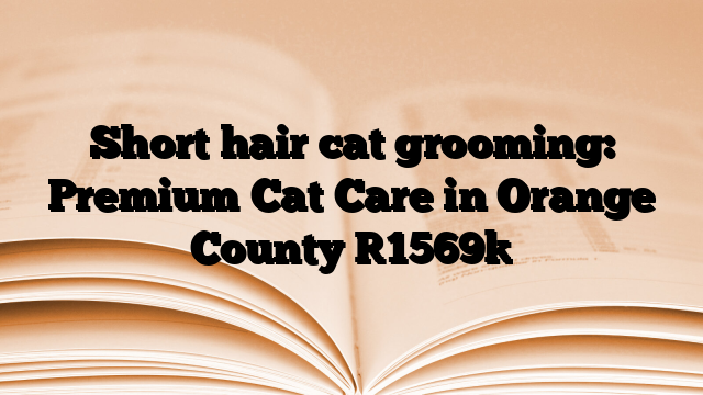 Short hair cat grooming: Premium Cat Care in Orange County