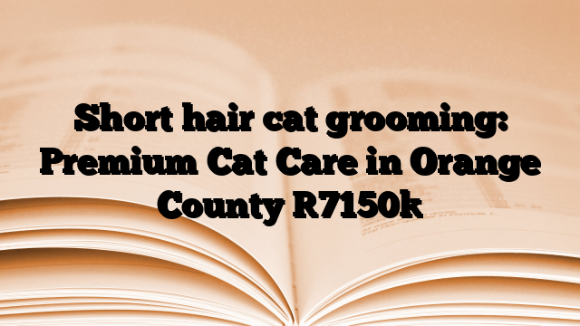 Short hair cat grooming: Premium Cat Care in Orange County