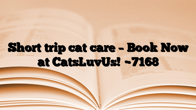 Short trip cat care – Book Now at CatsLuvUs!