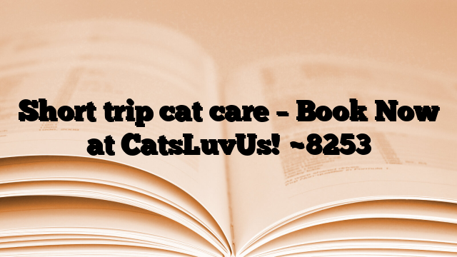 Short trip cat care – Book Now at CatsLuvUs!