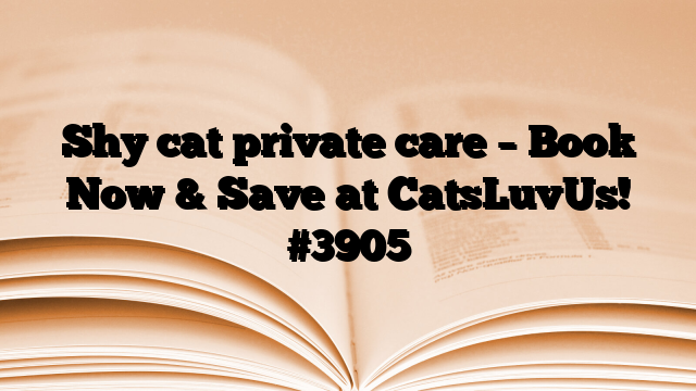 Shy cat private care – Book Now & Save at CatsLuvUs!