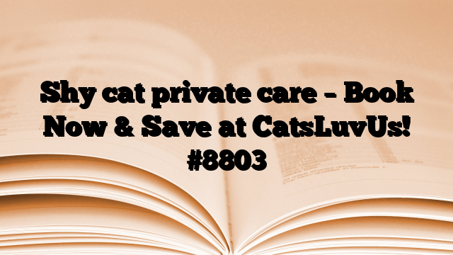 Shy cat private care – Book Now & Save at CatsLuvUs!
