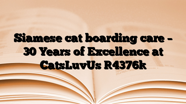 Siamese cat boarding care – 30 Years of Excellence at CatsLuvUs