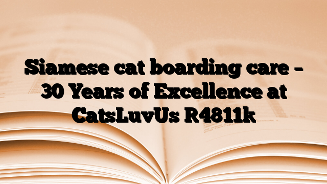 Siamese cat boarding care – 30 Years of Excellence at CatsLuvUs