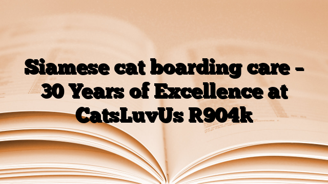 Siamese cat boarding care – 30 Years of Excellence at CatsLuvUs