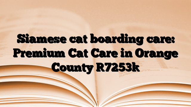 Siamese cat boarding care: Premium Cat Care in Orange County