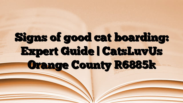 Signs of good cat boarding: Expert Guide | CatsLuvUs Orange County
