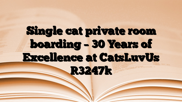 Single cat private room boarding – 30 Years of Excellence at CatsLuvUs