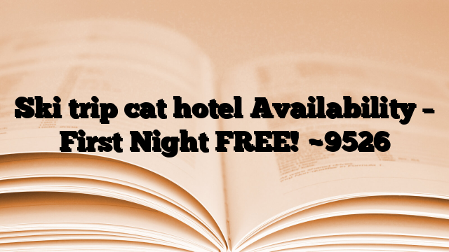Ski trip cat hotel Availability – First Night FREE!