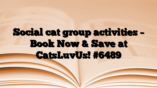 Social cat group activities – Book Now & Save at CatsLuvUs!
