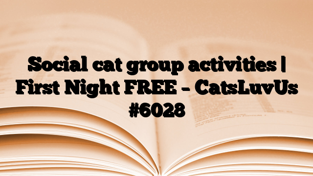 Social cat group activities | First Night FREE – CatsLuvUs