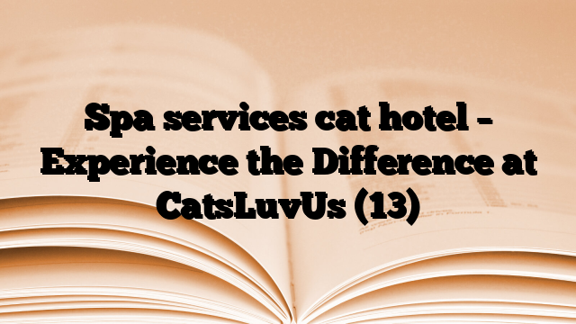 Spa services cat hotel – Experience the Difference at CatsLuvUs (13)