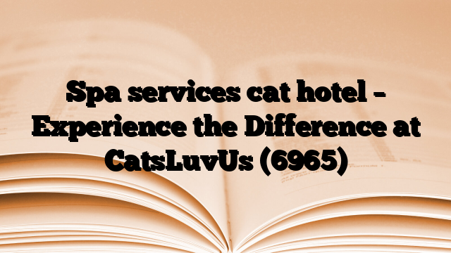 Spa services cat hotel – Experience the Difference at CatsLuvUs