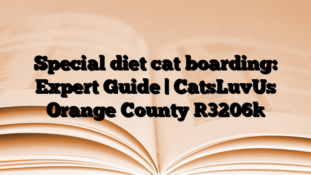 Special diet cat boarding: Expert Guide | CatsLuvUs Orange County