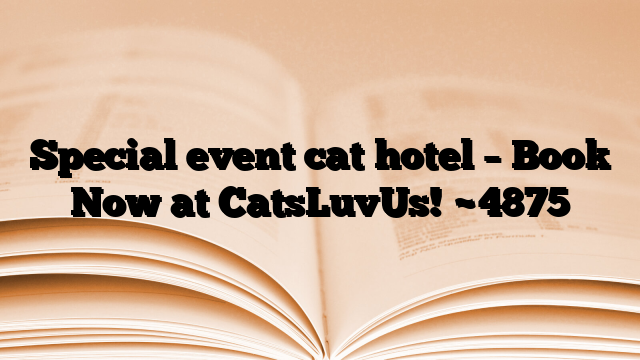 Special event cat hotel – Book Now at CatsLuvUs!