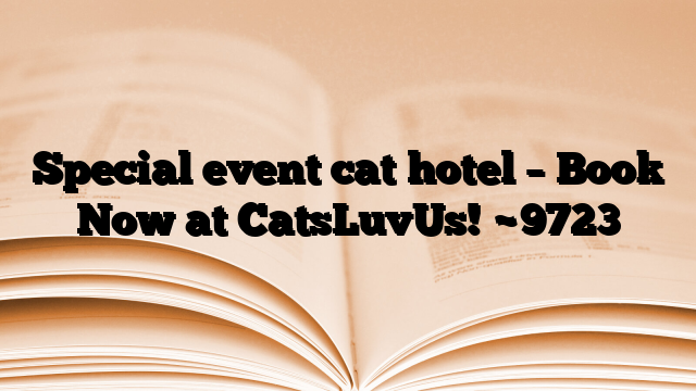 Special event cat hotel – Book Now at CatsLuvUs!