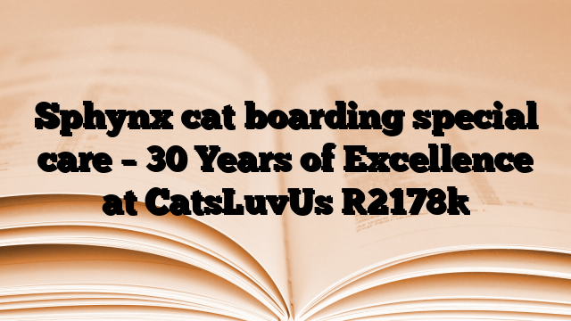 Sphynx cat boarding special care – 30 Years of Excellence at CatsLuvUs