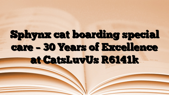 Sphynx cat boarding special care – 30 Years of Excellence at CatsLuvUs