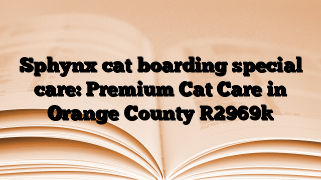 Sphynx cat boarding special care: Premium Cat Care in Orange County