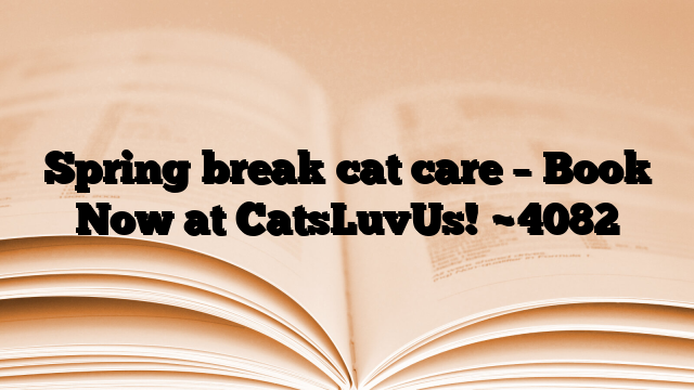 Spring break cat care – Book Now at CatsLuvUs!