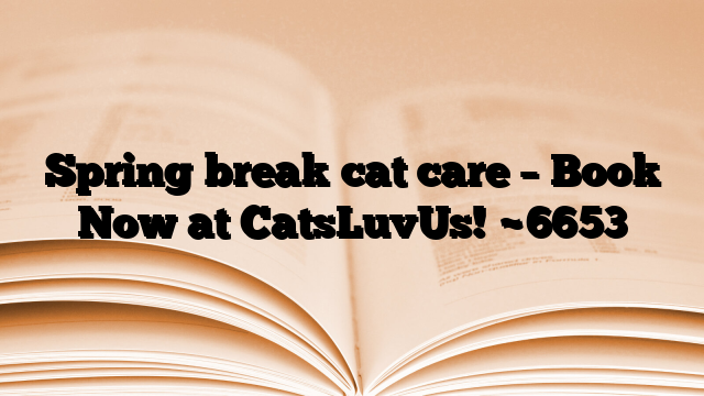 Spring break cat care – Book Now at CatsLuvUs!