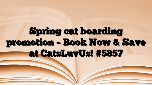 Spring cat boarding promotion – Book Now & Save at CatsLuvUs!