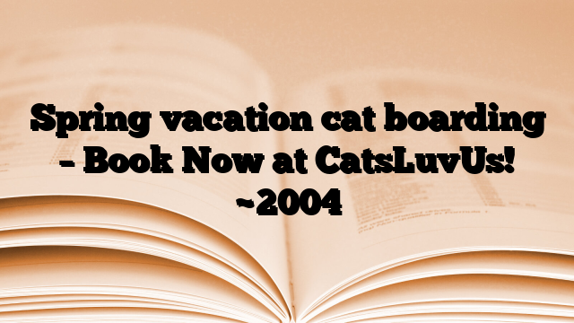 Spring vacation cat boarding – Book Now at CatsLuvUs!