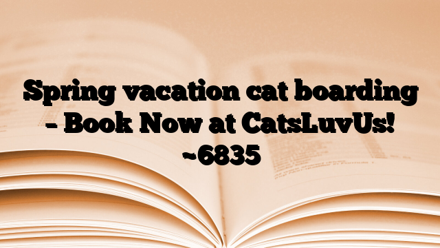Spring vacation cat boarding – Book Now at CatsLuvUs!