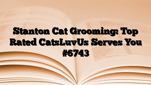 Stanton Cat Grooming: Top Rated CatsLuvUs Serves You