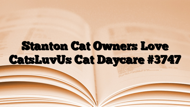 Stanton Cat Owners Love CatsLuvUs Cat Daycare