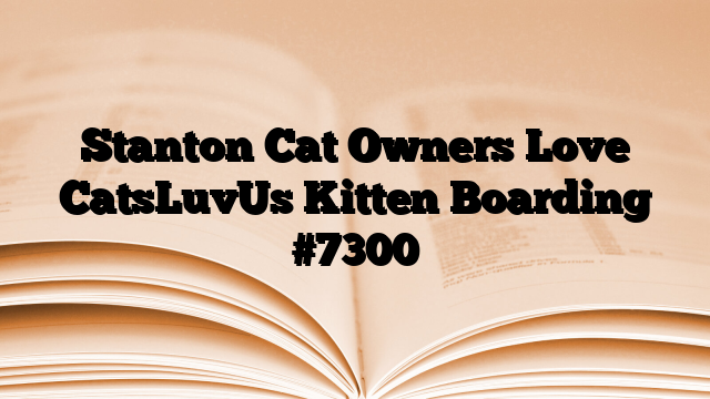 Stanton Cat Owners Love CatsLuvUs Kitten Boarding