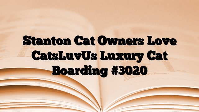 Stanton Cat Owners Love CatsLuvUs Luxury Cat Boarding