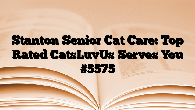 Stanton Senior Cat Care: Top Rated CatsLuvUs Serves You