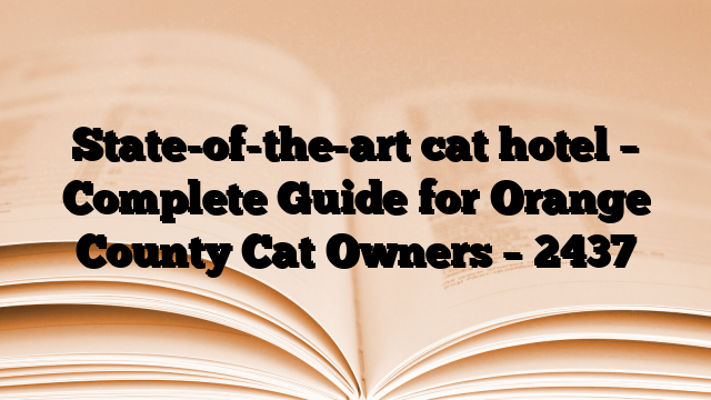State-of-the-art cat hotel – Complete Guide for Orange County Cat Owners