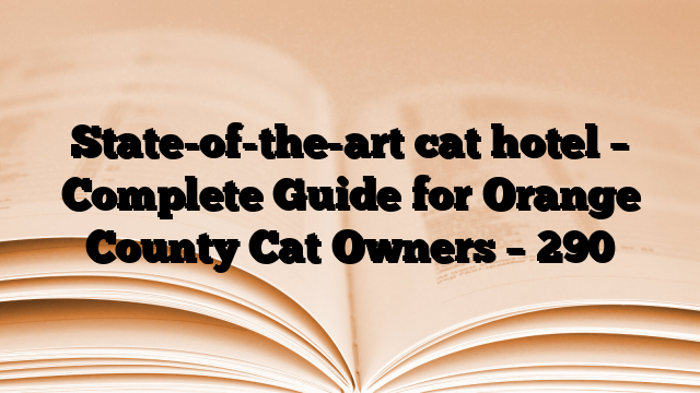 State-of-the-art cat hotel – Complete Guide for Orange County Cat Owners