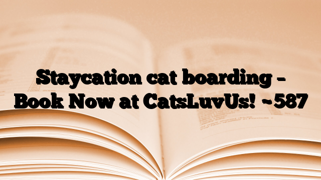 Staycation cat boarding – Book Now at CatsLuvUs!