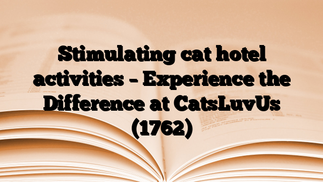 Stimulating cat hotel activities – Experience the Difference at CatsLuvUs