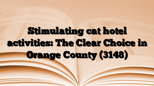 Stimulating cat hotel activities: The Clear Choice in Orange County