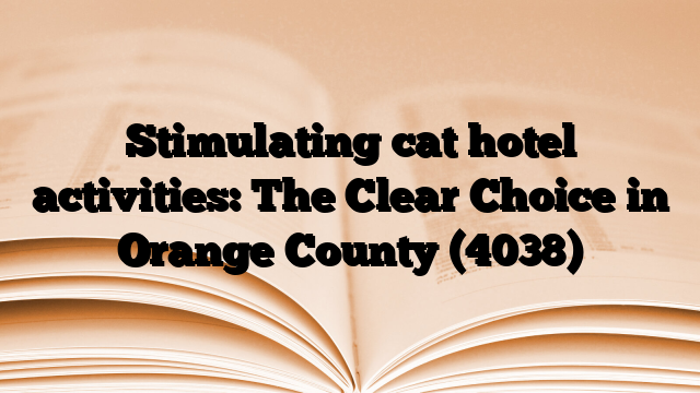 Stimulating cat hotel activities: The Clear Choice in Orange County