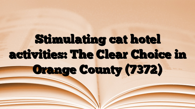 Stimulating cat hotel activities: The Clear Choice in Orange County