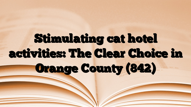 Stimulating cat hotel activities: The Clear Choice in Orange County
